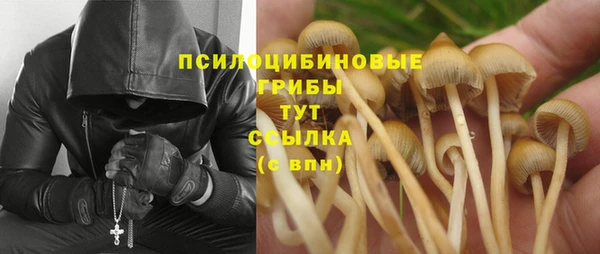 хмурый Балабаново