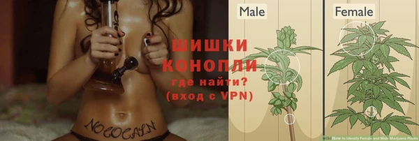 хмурый Балабаново