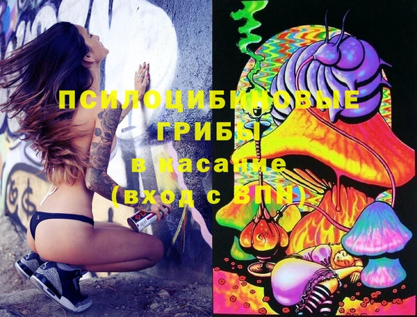 хмурый Балабаново